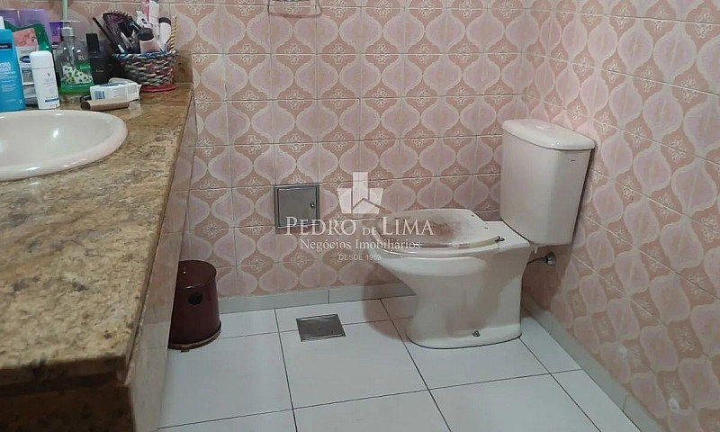 Casa Terrea Na Regiã...