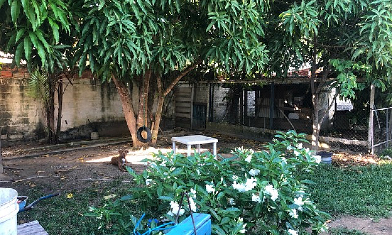 Casa Recém Construid...