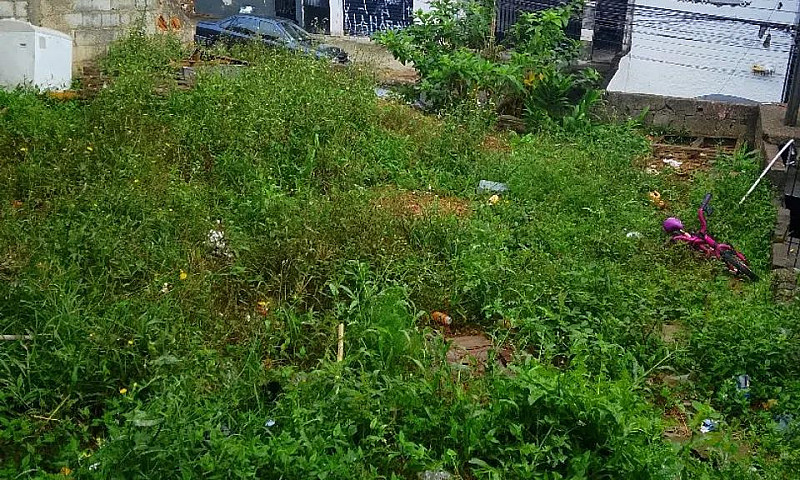 Vendo Casa Térrea Co...