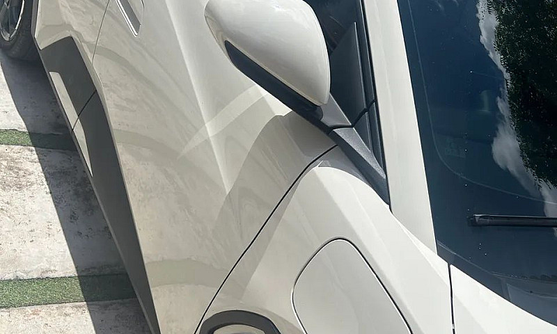 Byd Dolphin Mini (El...