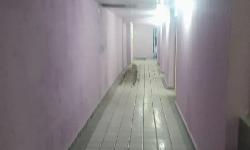 Alugo Centro  - Rua ...