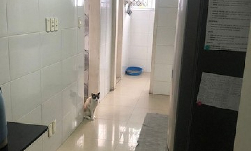 H.a Apartamento Para...