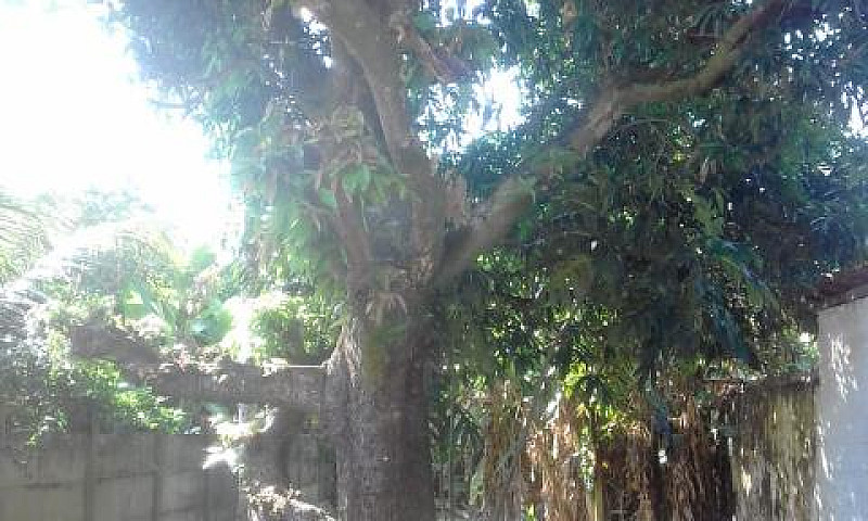 Casa Na Pária De Tai...