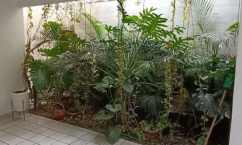 Casa Para Locação A ...