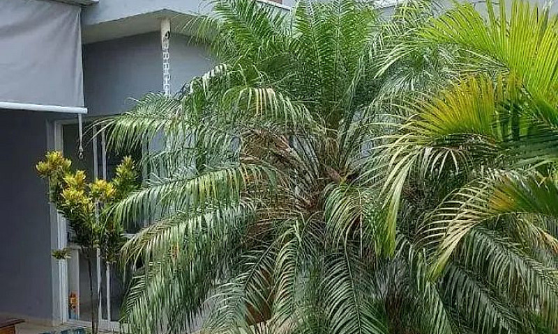 Casa À Venda, 191 M²...