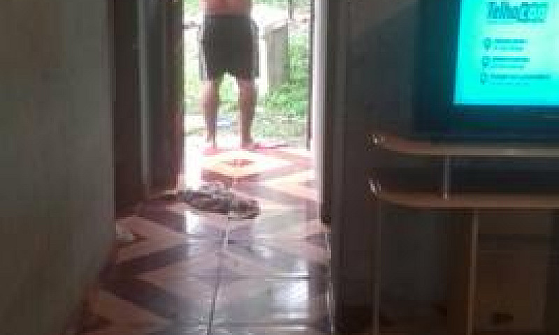 Estou Vendendo Ou Tr...