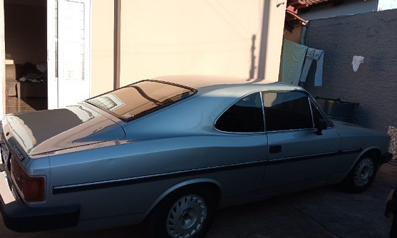 Opala Comodoro...