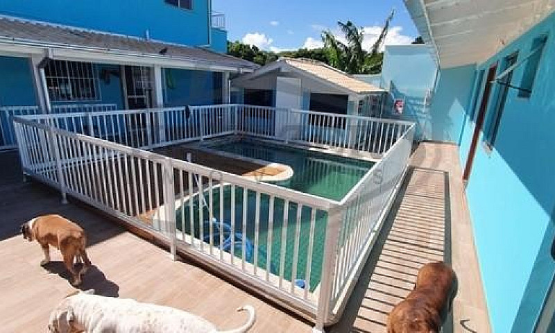 Casa Para Venda Em F...