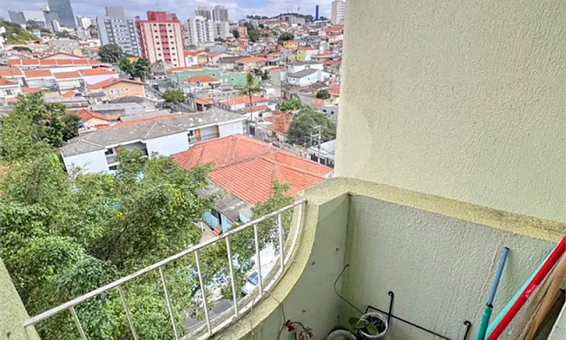Oportunidade Imperdí...