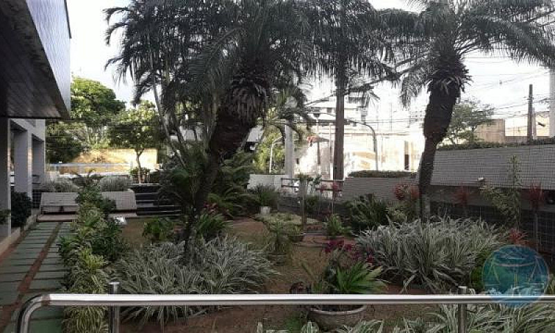 Apartamento Para Alu...