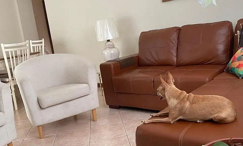 Imóvel Para Venda Co...