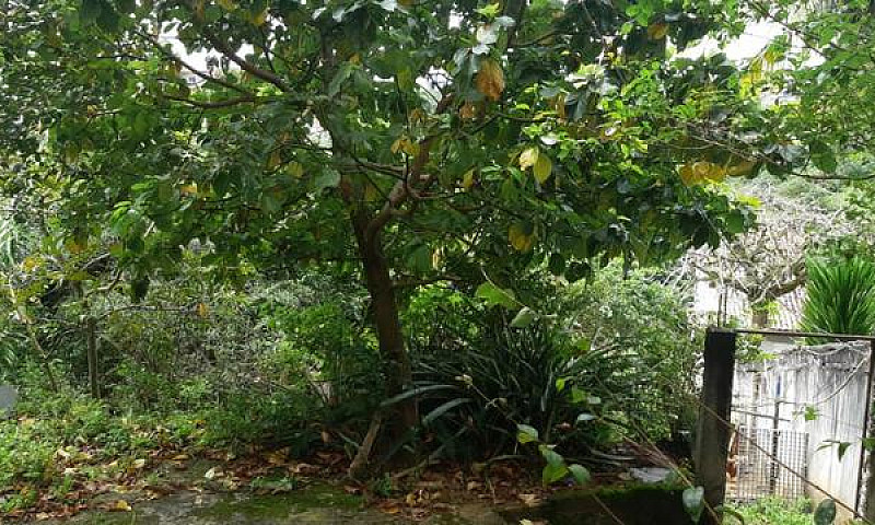 Casa Em Águas Claras...