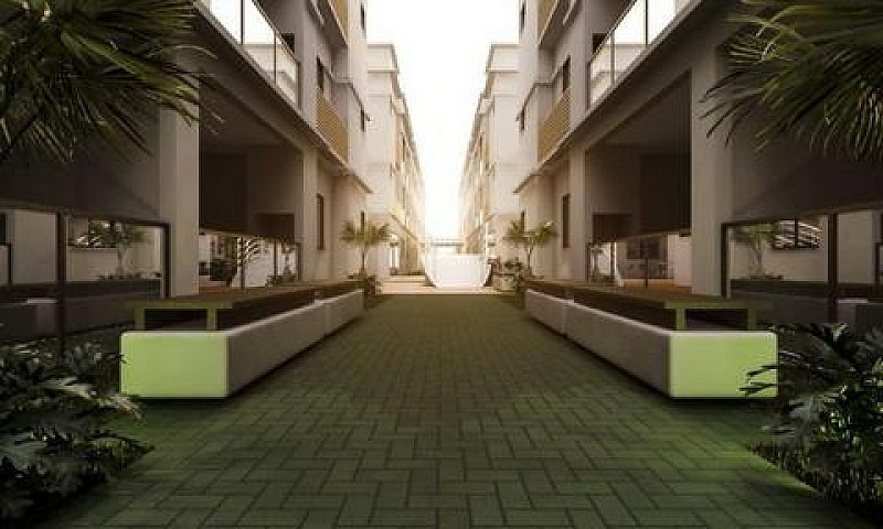 Tn- Grande Oportunid...