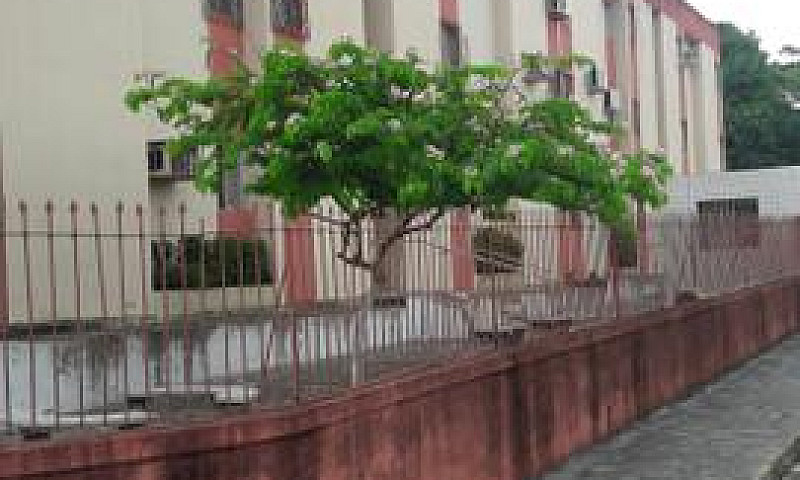 Apartamento Para Alu...