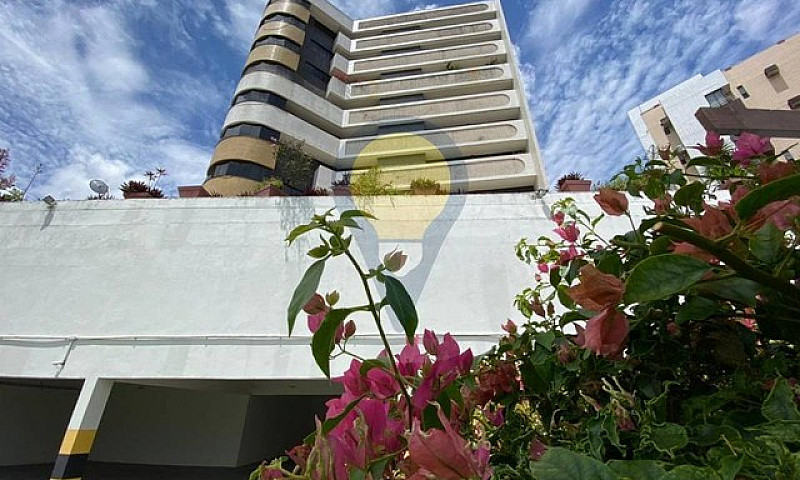 Apartamento Para Alu...