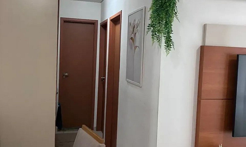 Alugo Apartamento Mi...