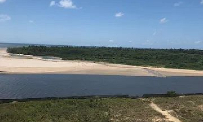 Apartamento Padrão E...