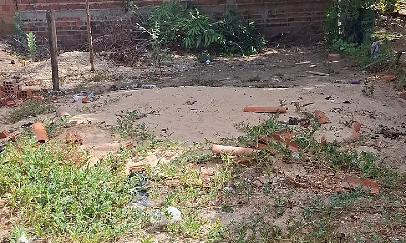 Casa No Dilma Rousse...