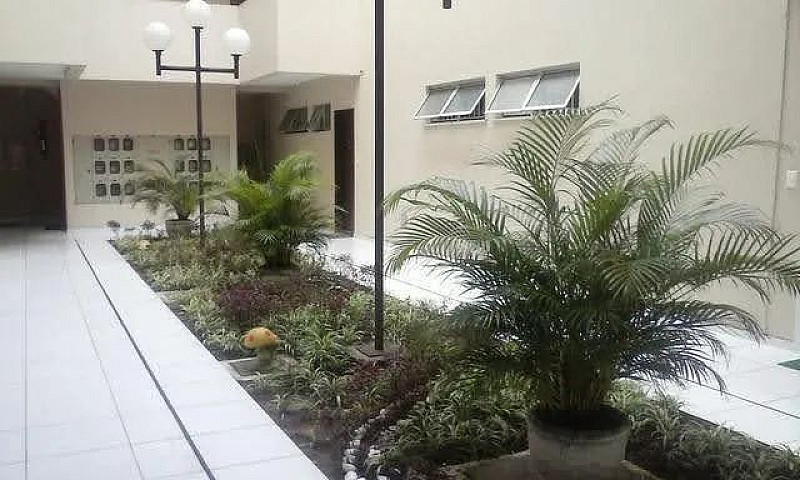Alugo Apartamento Te...