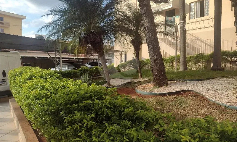 Apartamento Com 2 Qu...
