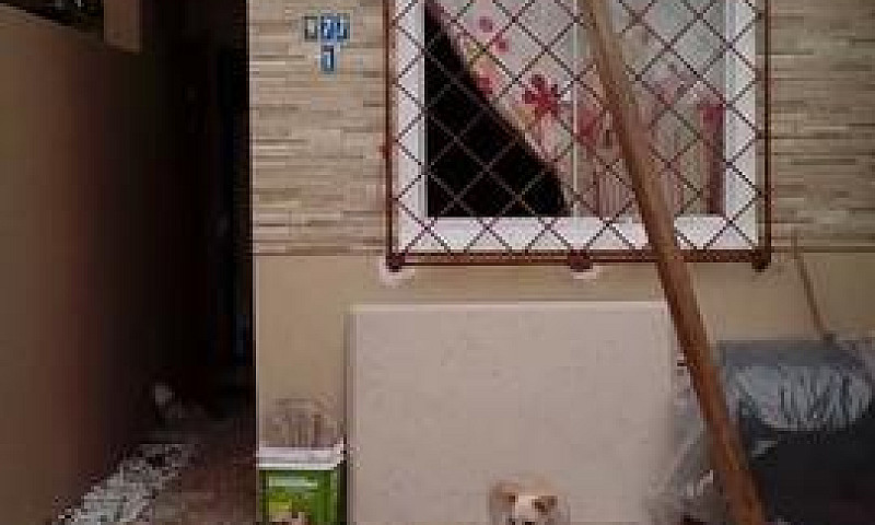 Aluga-Se Casa Direto...
