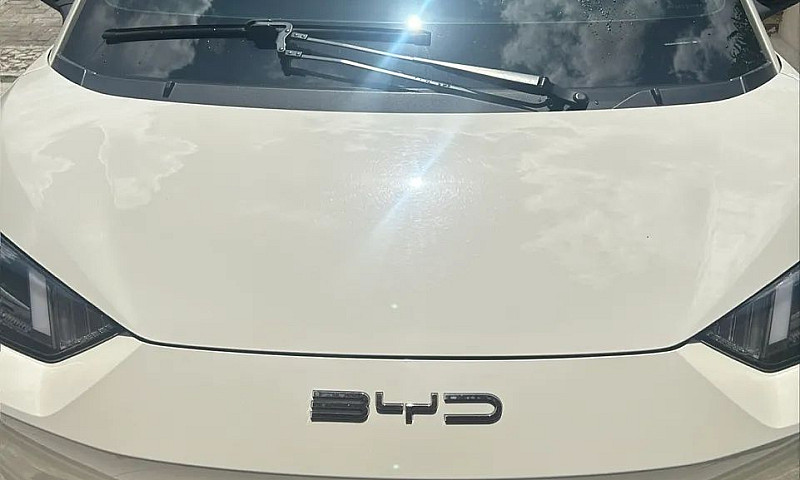 Byd Dolphin Mini (El...