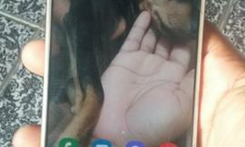 J5 Pro Somente Trico...