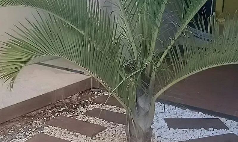Casa Setor Sudoeste ...