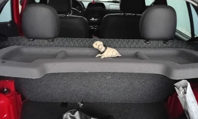Renault Clio Rn/Aliz...