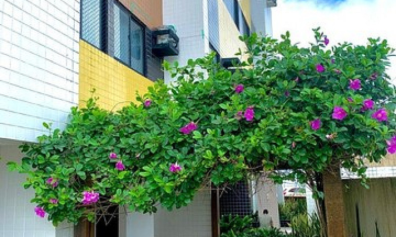 Apartamento Com Vist...