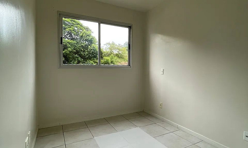 Life Flores - 2 Quar...