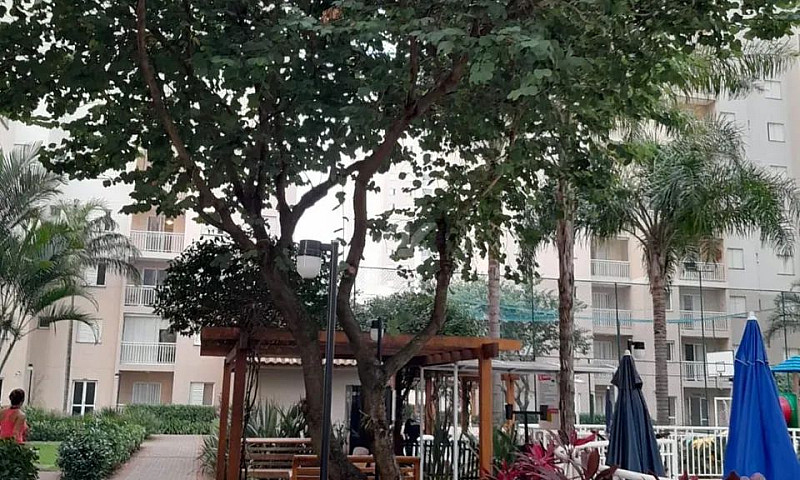 Apartamento - Vila P...