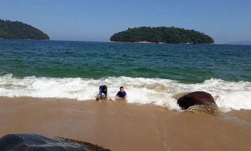 Alugo Casa De Praia...