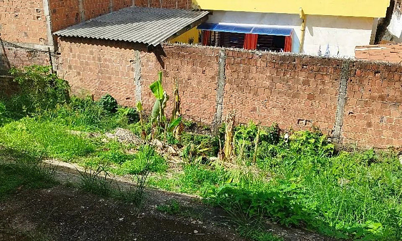 Casa Em Camaragibe ...