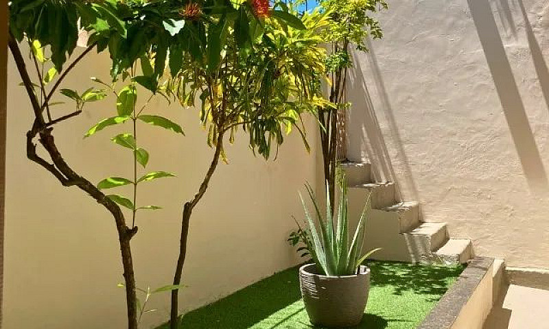 Casa Para Alugar - B...