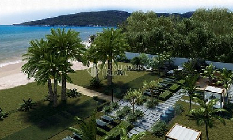 Florianópolis - Apar...