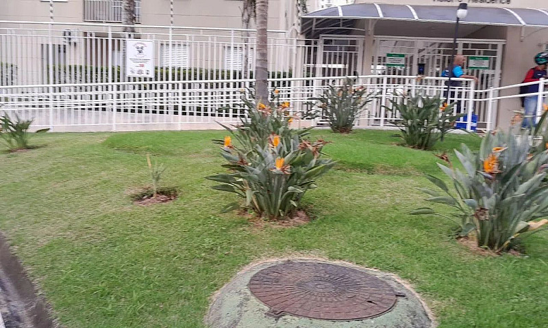 Apartamento - Vila P...