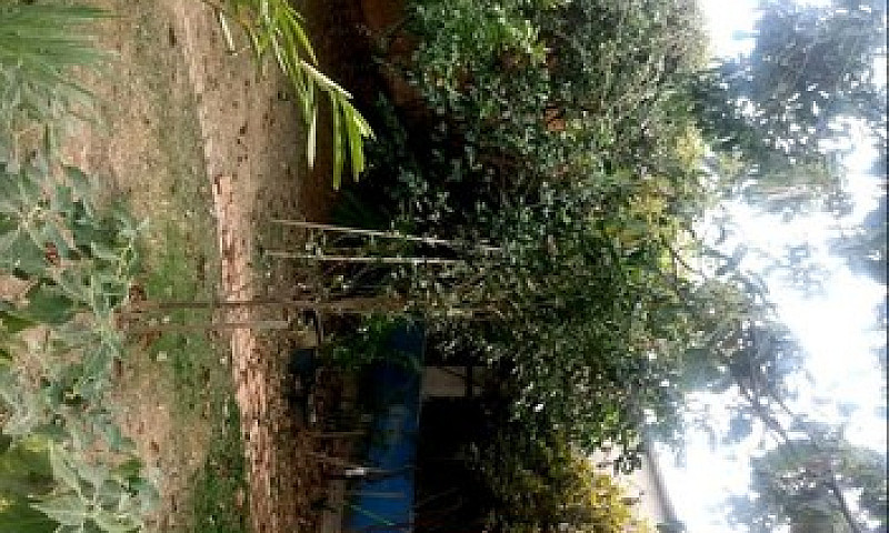 Alugo Casa 4 Qartos ...