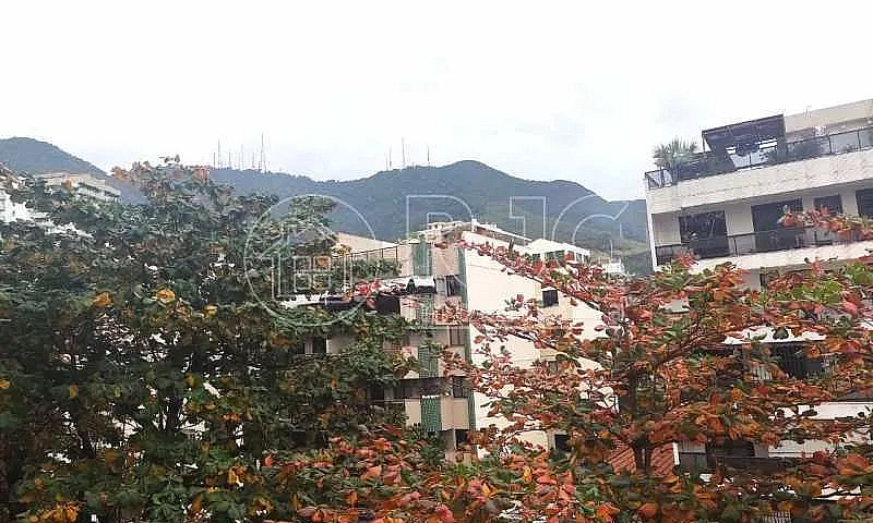 Apartamento - Padrão...