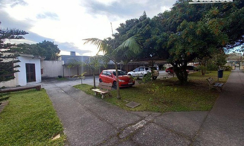 Apartamento Com 3 Do...