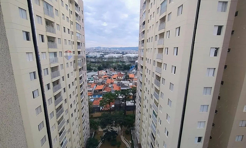 Alugue O Apartamento...