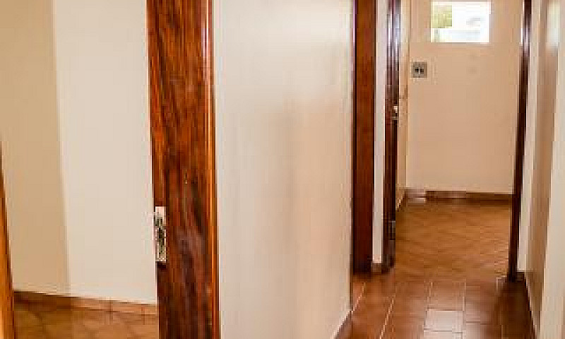 Apartamento Para Alu...