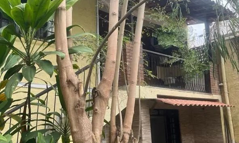 Aluguel Rapazes Casa...