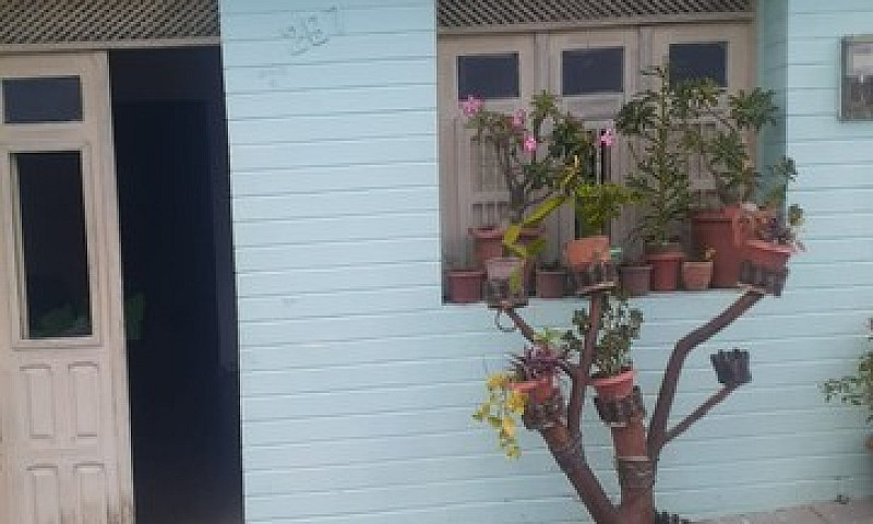 Casa Em Capela/Al...