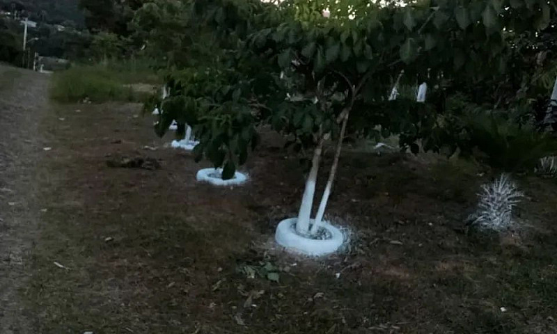 Vende Linda Chácara ...