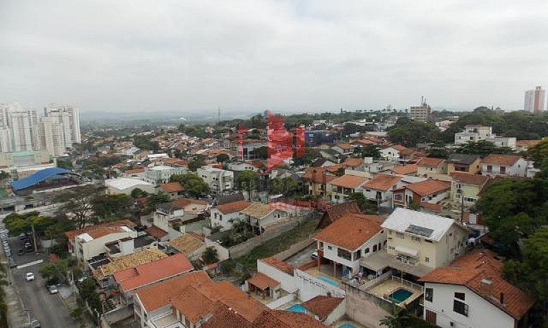 Lindo Apartamento Sj...