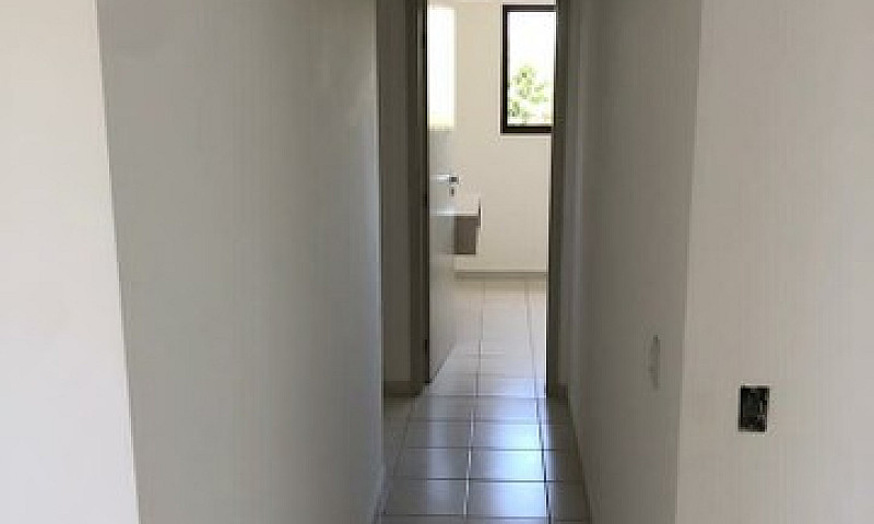 Apartamento No Jardi...