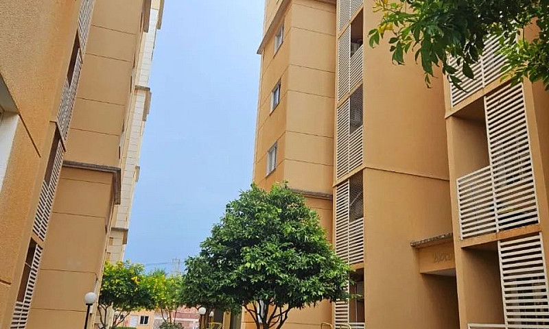 Aluguel Apartamento ...