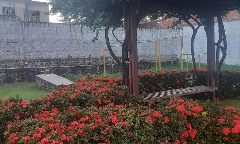 Apartamento No Passa...