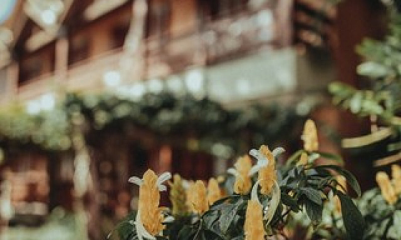 Apartamentos Lagoa D...